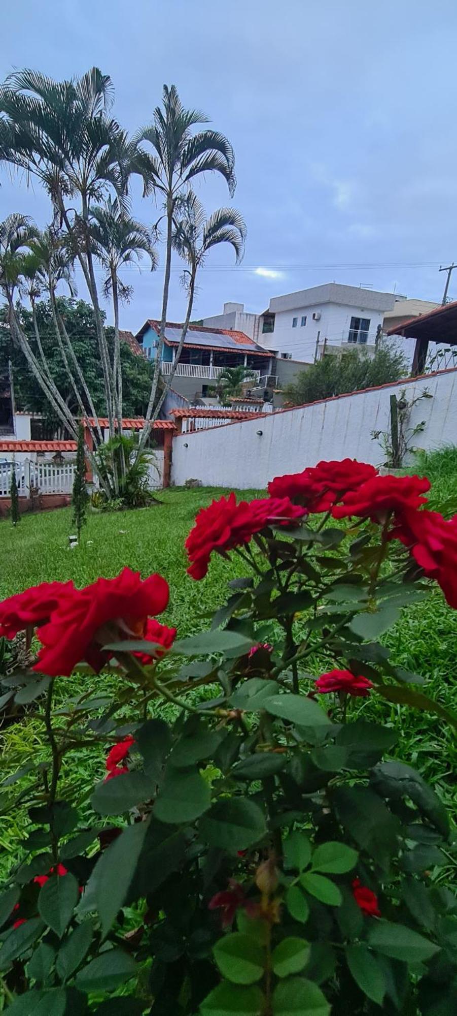Готель Red Rose Кабу-Фріу Екстер'єр фото